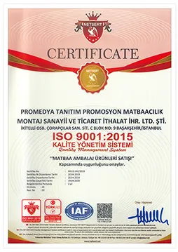 ISO 9001